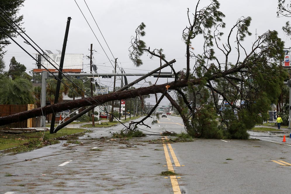 Ein umgestürzter Baum in Florida: Der Hurrikan war kurz vor seinem Eintreffen an der Küste von Florida in die zweithöchste Kategorie vier hochgestuft worden.