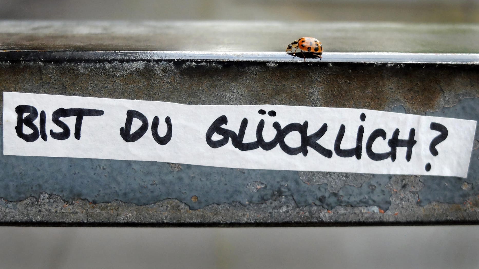 "Bist du glücklich?": Der "Glücksatlas" wird vorgestellt – wie zufrieden ist Deutschland? "Bist du glücklich?": Der "Glücksatlas" wird vorgestellt – wie zufrieden ist Deutschland?