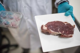 Petrischale und Steak: Seit 2016 forscht das Unternehmen Aleph Farms an einer Fleischalternative.
