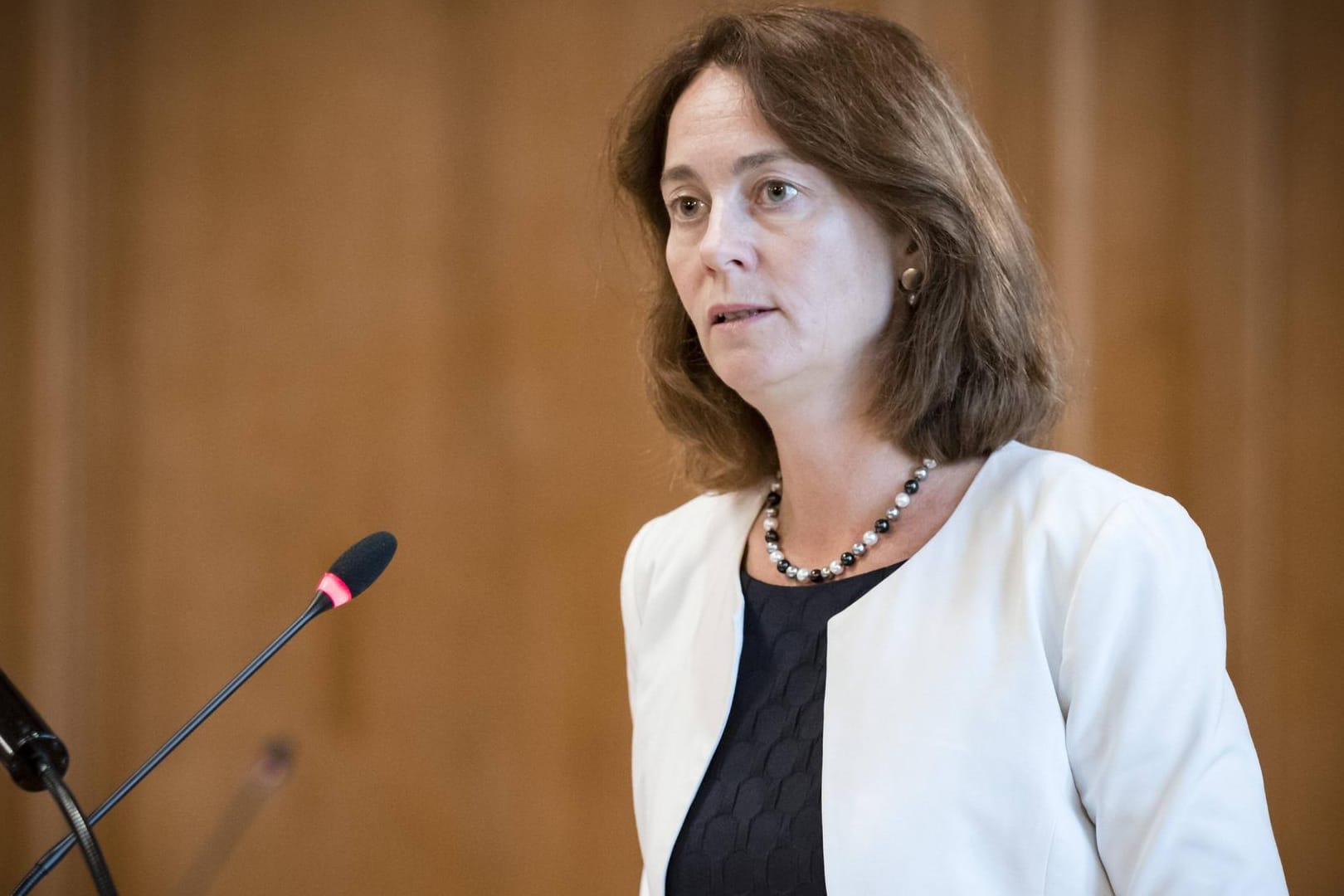 Katarina Barley: Die Bundesjustizministerin wirft der AfD "organisierte Denunziation" vor.