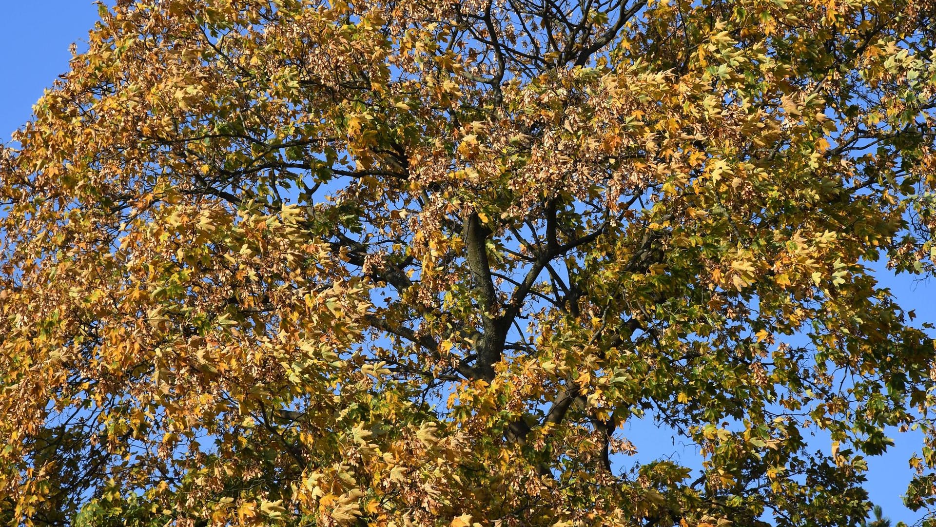 Die Herbstferien stehen vor der Tür: Auf Wuppertals Schüler wartet ein buntes Freizeitprogramm.