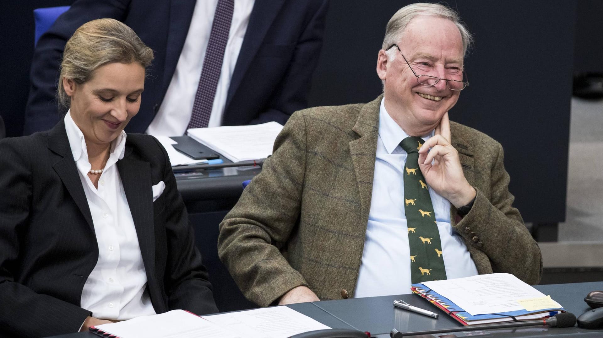 Alice Weidel und Alexander Gauland lachen im Bundestag: Die AfD macht mit dem Kampf gegen den Islam das, wofür sie gewählt wurde, meint unsere Kolumnistin Lamya Kaddor.