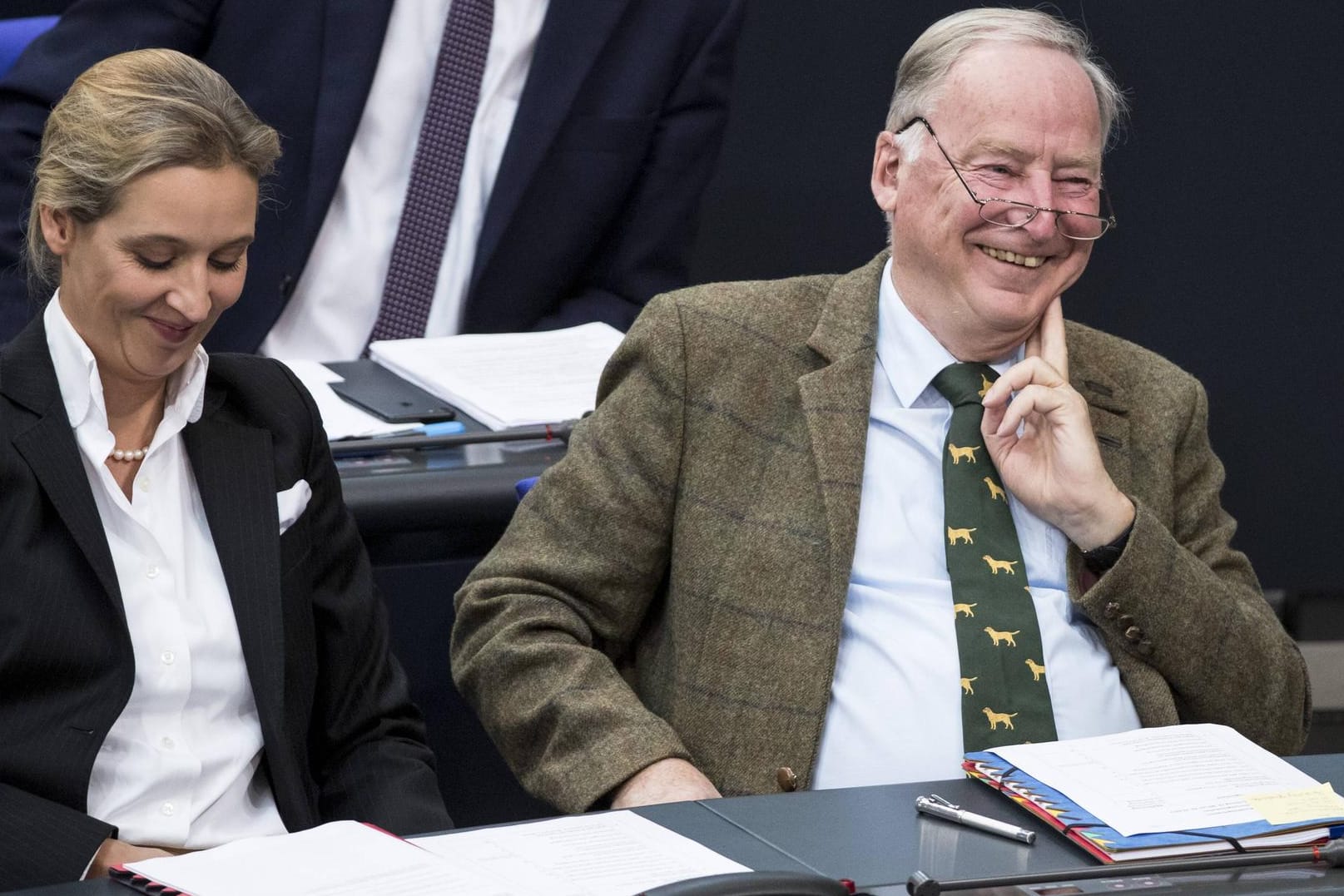 Alice Weidel und Alexander Gauland lachen im Bundestag: Die AfD macht mit dem Kampf gegen den Islam das, wofür sie gewählt wurde, meint unsere Kolumnistin Lamya Kaddor.