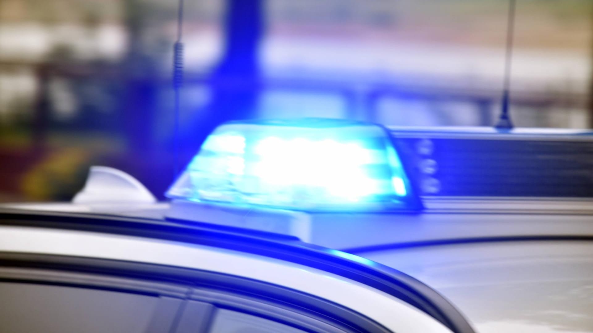 Blaulicht an einem Polizeiwagen: Zeugen alarmierten die Polizei und die Fleischdiebe konnten gefasst werden. Blaulicht an einem Polizeiwagen: Zeugen alarmierten die Polizei und die Fleischdiebe konnten gefasst werden.