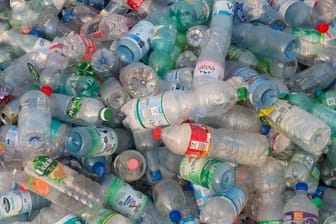 Einwegflaschen: Wegen der Pfandpflicht landen Flaschen und Dosen vergleichsweise selten im Abfall oder in der Natur