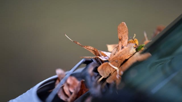 Das Herbstlaub verfängt sich schnell in den Rillen eines Autos. Das Herbstlaub verfängt sich schnell in den Rillen eines Autos.