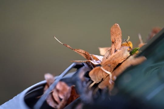 Das Herbstlaub verfängt sich schnell in den Rillen eines Autos.