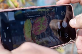 Der Herbst ist da - und mit ihm die neuen Pixel-Telefone: Google positioniert seine neue Smartphone-Generation vor allem als Spitzenkamera.