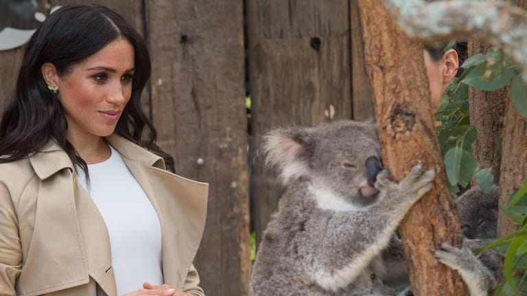 Tierische Begeisterung: Beim Besuch in Australien darf das Treffen mit einem Koala natürlich nicht fehlen.