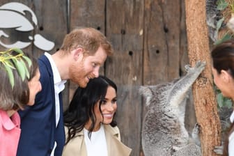 Prinz Harry und Herzogin Meghan sehen sich im Taronga Zoo den weiblichen Koala "Ruby" an, die ein nach Meghan benanntes junges mit dem Namen "Joey Meghan" geboren hatte.