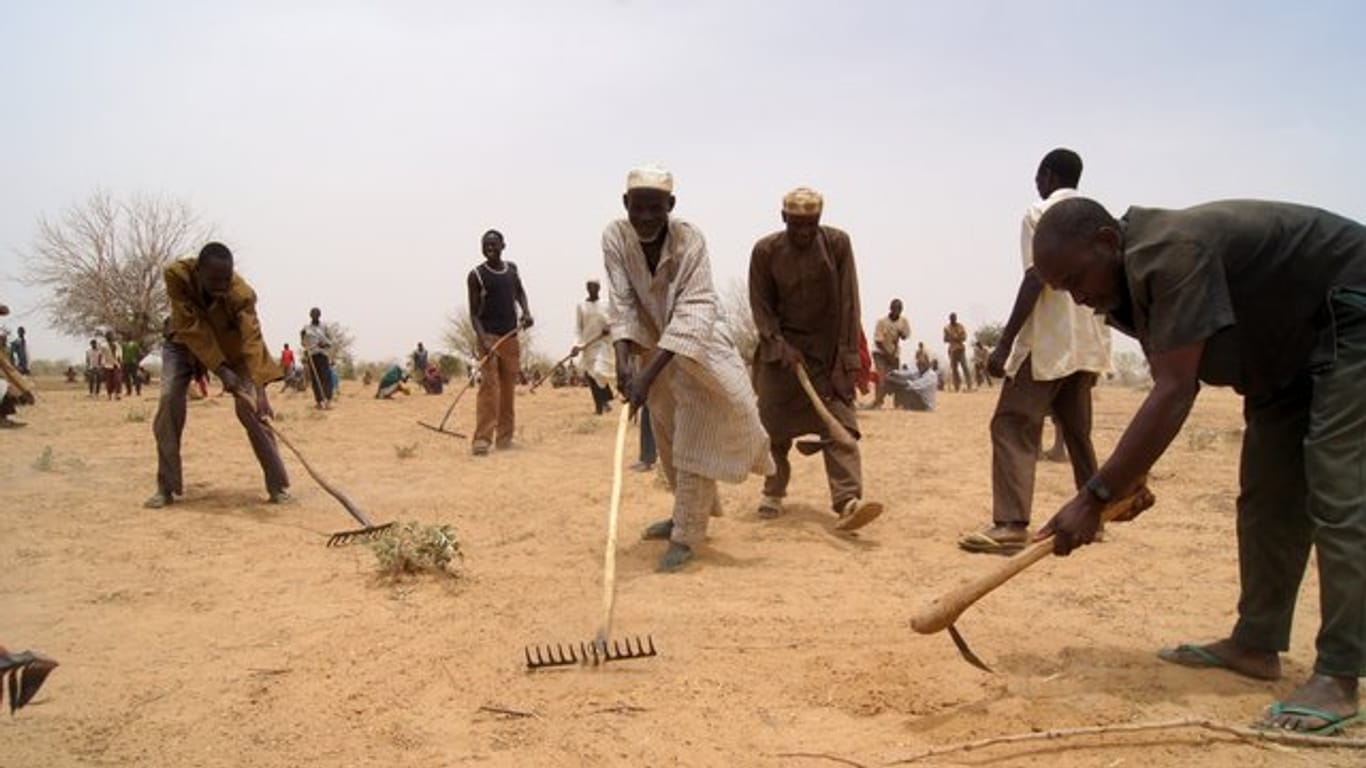Männer arbeiten im Niger auf einem ausgedörrten Feld.