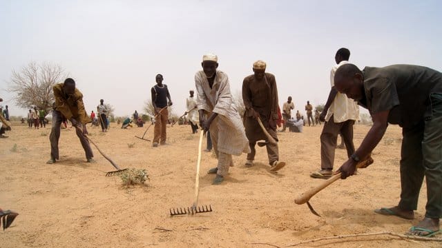 Männer arbeiten im Niger auf einem ausgedörrten Feld.