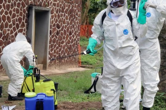 Mitarbeiter des Gesundheitsamtes desinfizieren ein Krankenhaus in Mbandaka im Kongo.