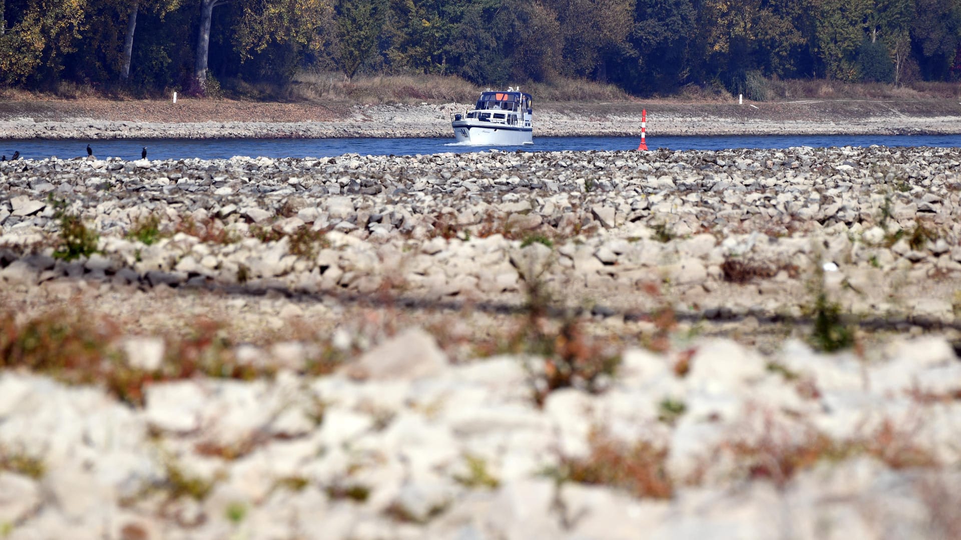 Nach monatelanger Dürre ist der Pegel des Rheins in Karlsruhe auf einen Tiefststand gefallen: Auch in den kommenden Tagen ist nicht mit Regen zu rechnen.