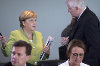 Angela Merkel und Horst Seehofer bei einer Kabinettssitzung: Die Hessen-Wahl könnte für die große Koalition richtungsweisend sein.