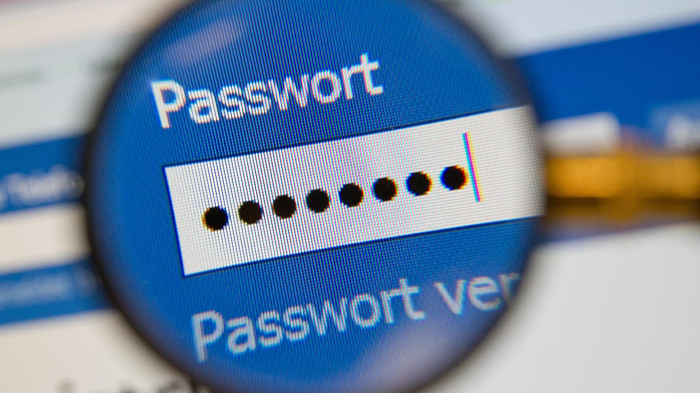 Ein Eingabefenster für ein Passwort: Nutzer sollten ihre Log-In-Daten nur auf Webseiten eingeben, die sie selber aufgerufen haben – und nicht über Links. (Archivbild)