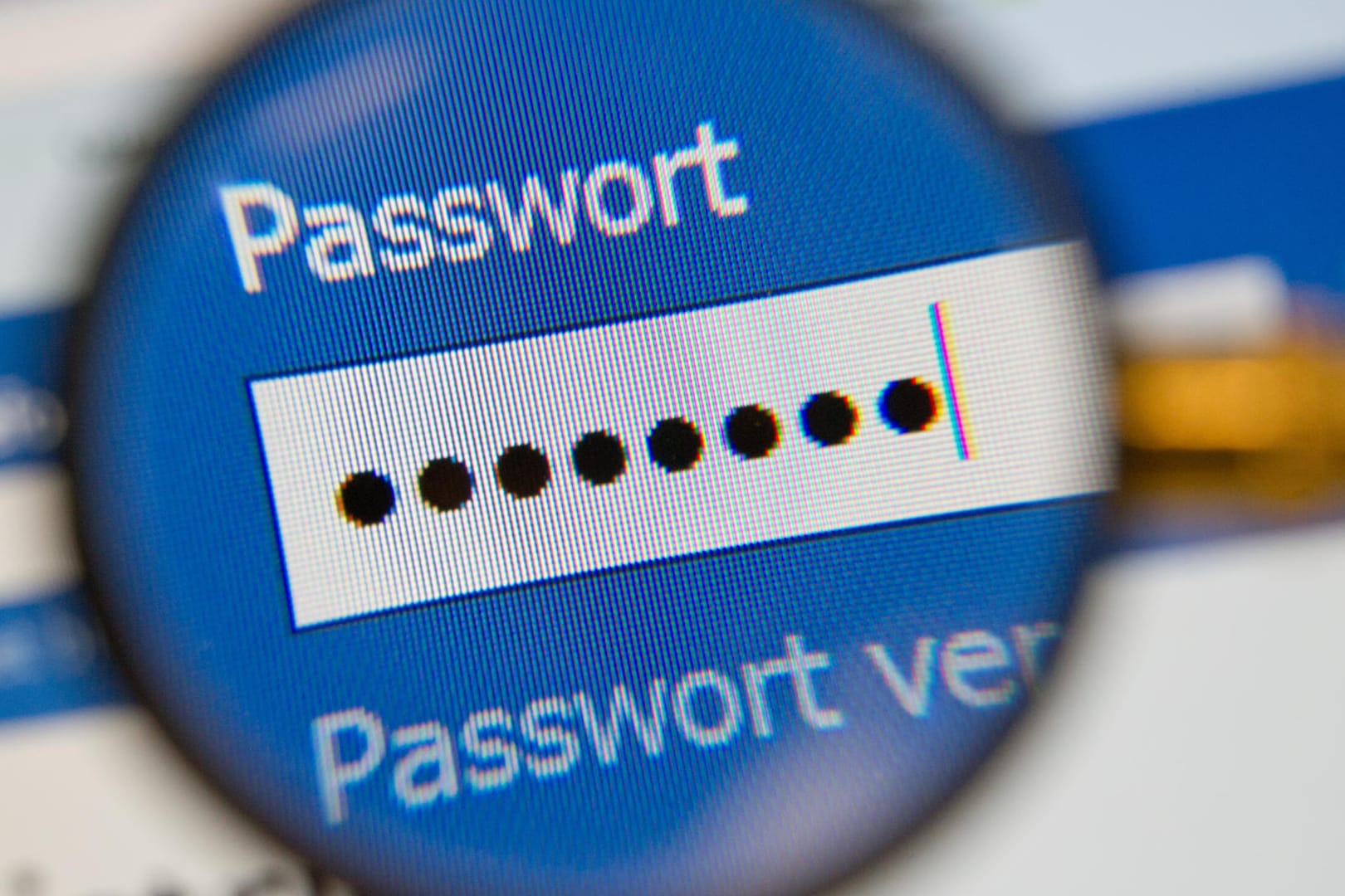 Ein Eingabefenster für ein Passwort: Nutzer sollten ihre Log-In-Daten nur auf Webseiten eingeben, die sie selber aufgerufen haben – und nicht über Links. (Archivbild)