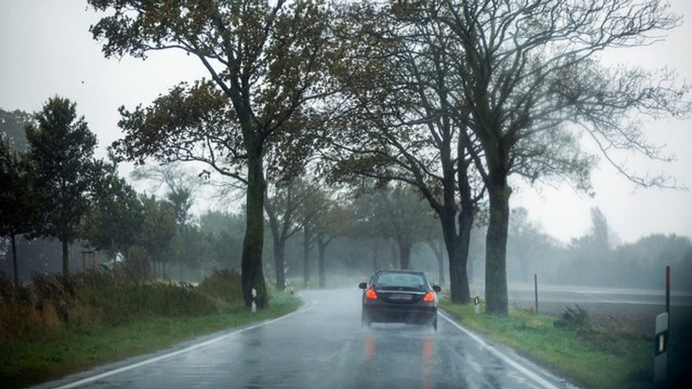 Stürmische Zeiten: Bei starkem Wind sollten Autofahrer ihr Tempo drosseln und bei Böen gefühlvoll gegenlenken.