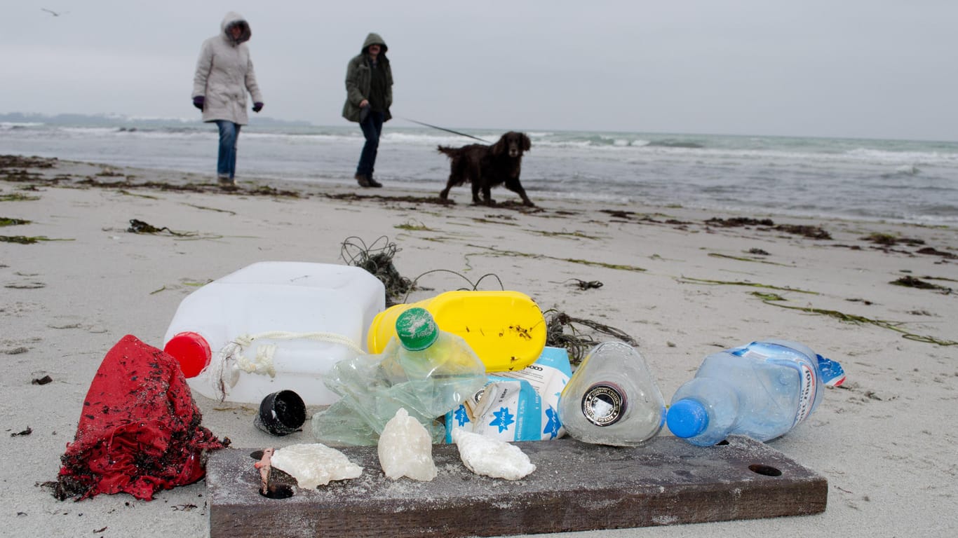 Plastikmüll am Ufer (Symbolbild): Der Kölner Zoo ruft zur Müllsammel-Aktion auf.