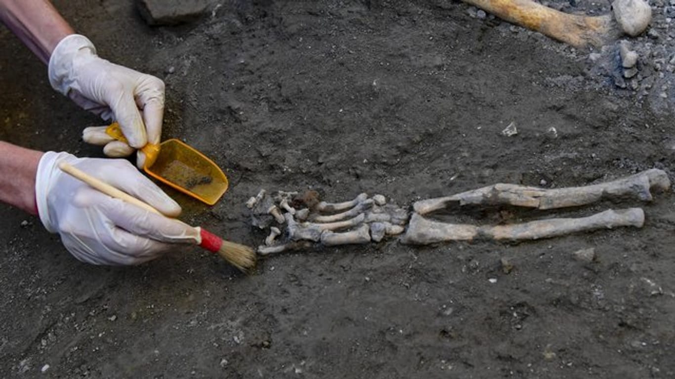 Ein Archäologe inspiziert Skelette in der archäologischen Stätte Pompeji.