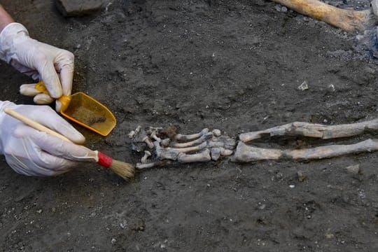 Ein Archäologe inspiziert Skelette in der archäologischen Stätte Pompeji.