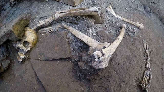 Teile eines Skeletts in Pompeji.
