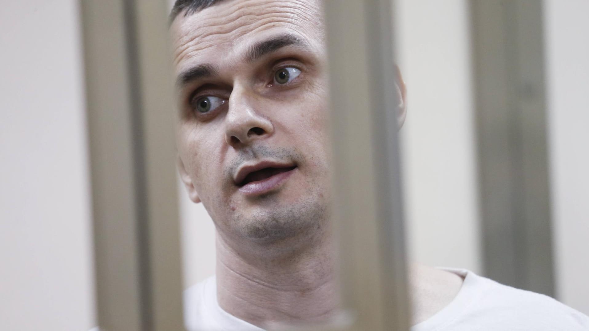 Oleg Senzow: Der ukrainische Filmemacher wurde zu 20 Jahren Haft verurteilt. Oleg Senzow: Der ukrainische Filmemacher wurde zu 20 Jahren Haft verurteilt.