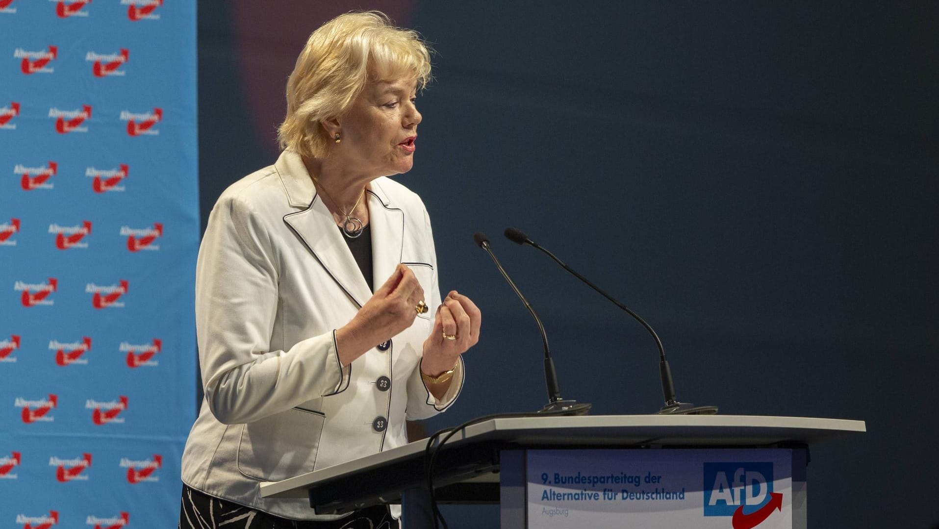 Erika Steinbach spricht auf dem AfD-Bundesparteitag: Steinbach macht auch SPD und Grüne für die Farbattacke auf ihr Haus verantwortlich.