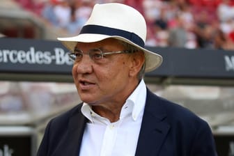 Verärgert: Der frühere Meistertrainer Felix Magath leidet mit seinem Ex-Klub HSV.