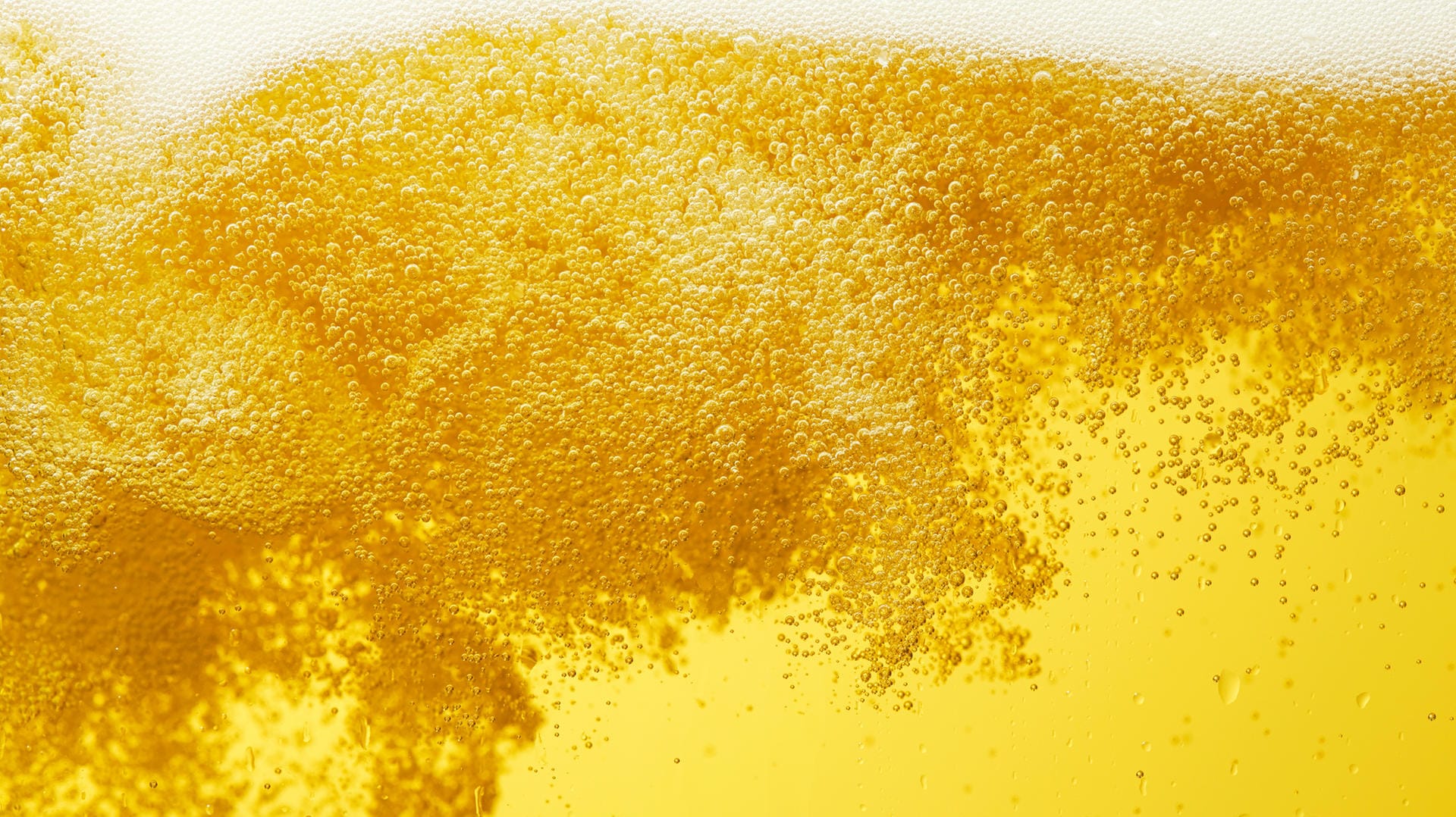 Bier: Bei Penny verkauftes Bier wird derzeit zurückgerufen.