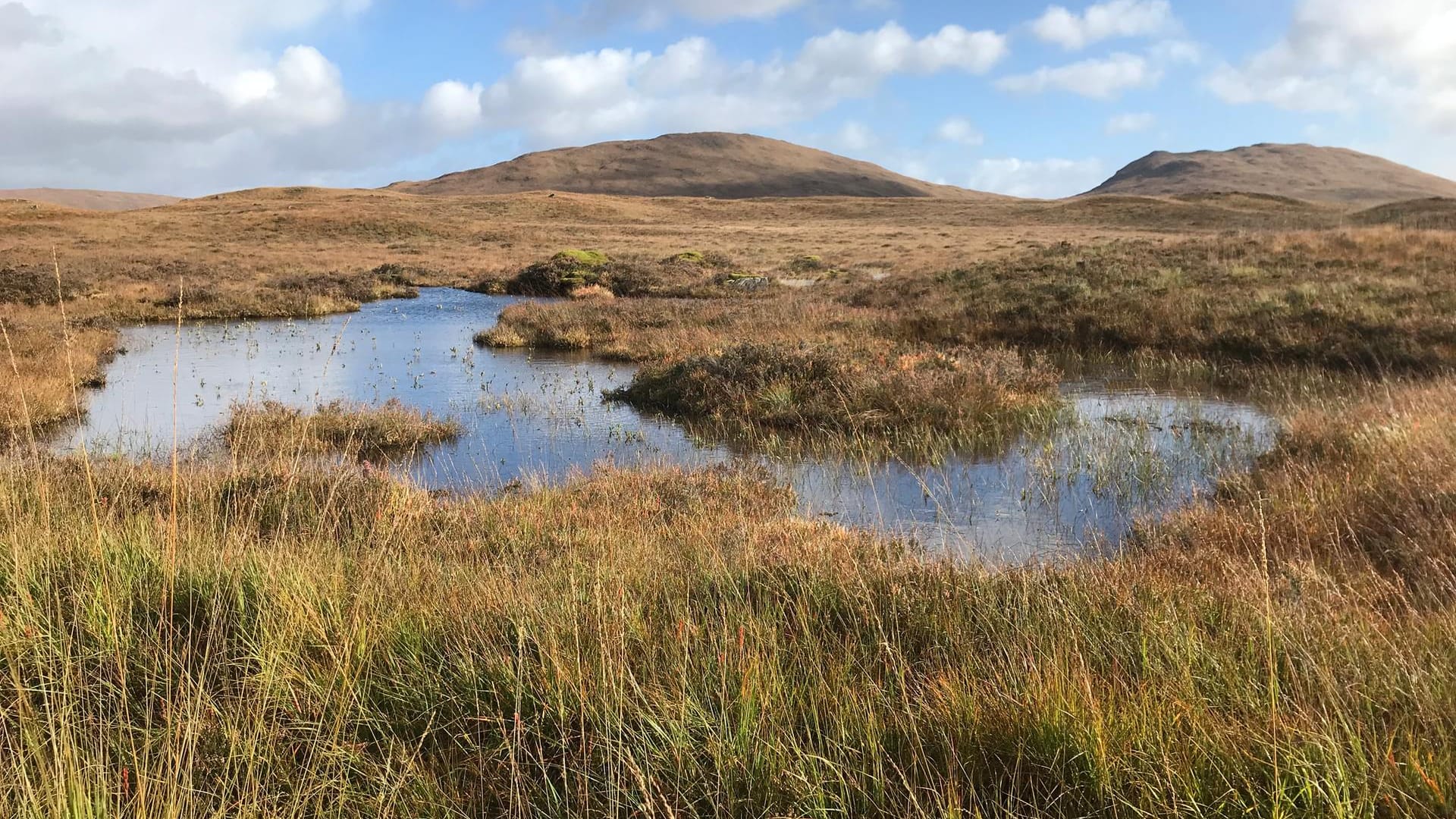 Rannoch Moor