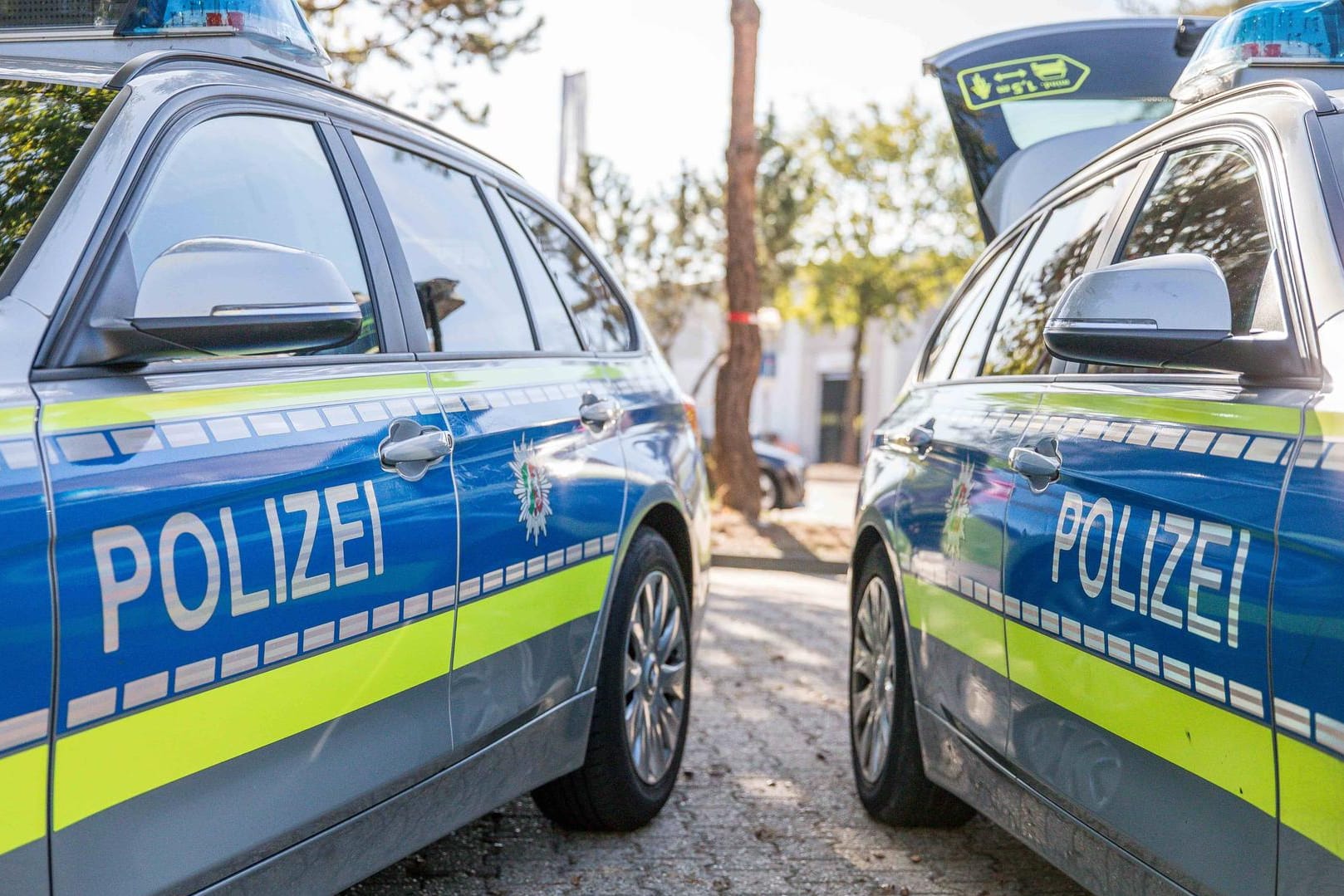 Polizeiautos im Einsatz: Zwei Migranten sind in Magdeburg angegriffen und verletzt worden. (Symbolbild)