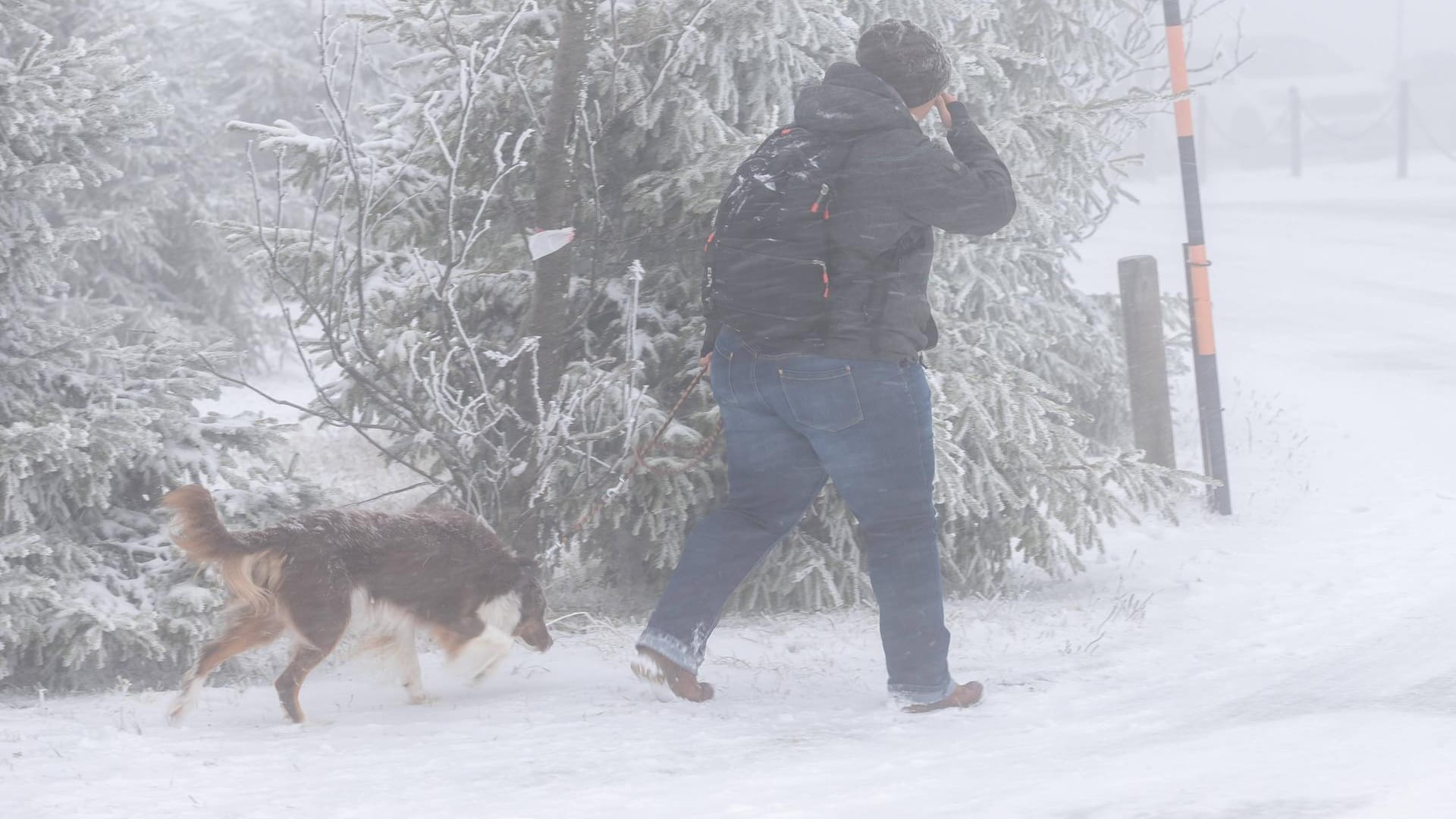 Eine Frau im Schneegestöber auf dem Fichtelberg in Sachsen: Auch im Erzgebirge hat sich der Winter mit erstem Schneefall angekündigt.