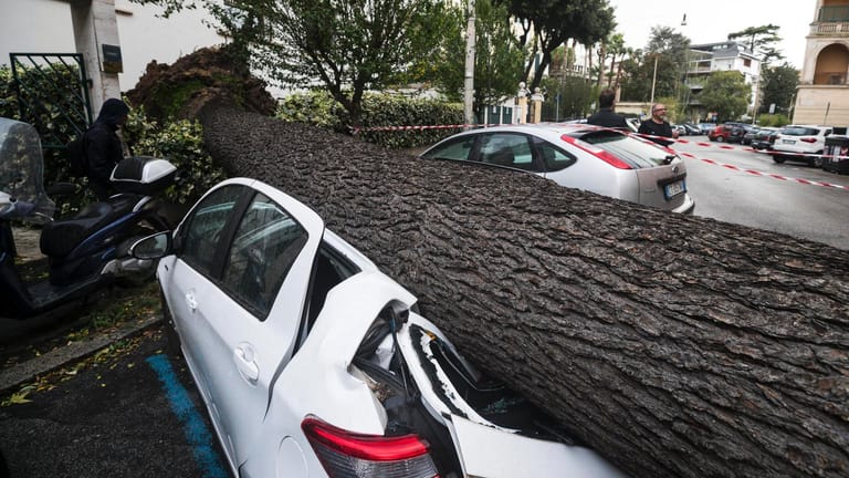 Ein umgestürzter Baum liegt auf dem Dach eines Autos: In Rom knickte der Sturm Bäume wie Streichhölzer.
