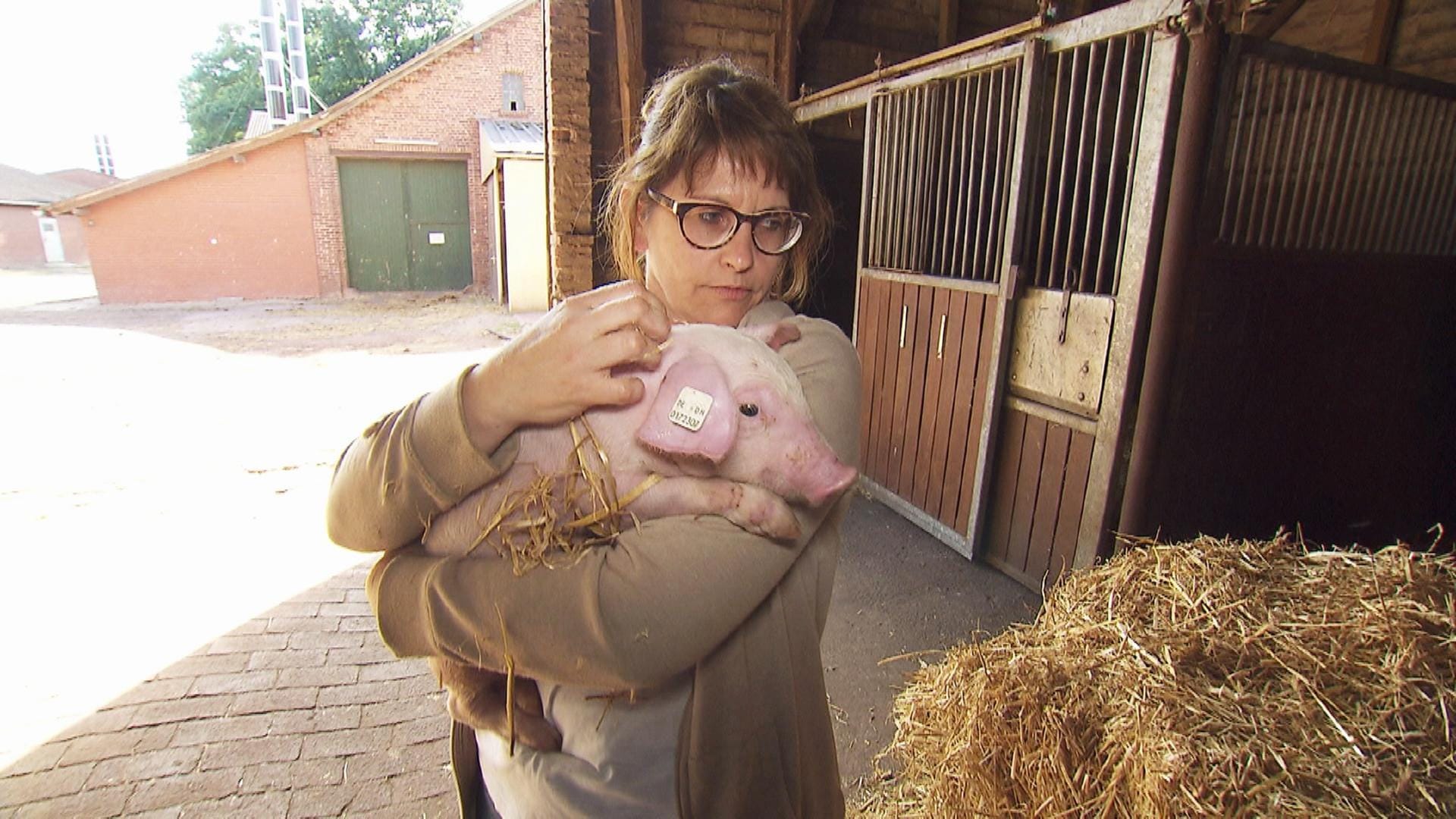 Heike im Schweinestall: Der Umgang von Bauer Claus mit den Ferkeln und mit ihr selbst wurde der Hundetrainerin zu viel.