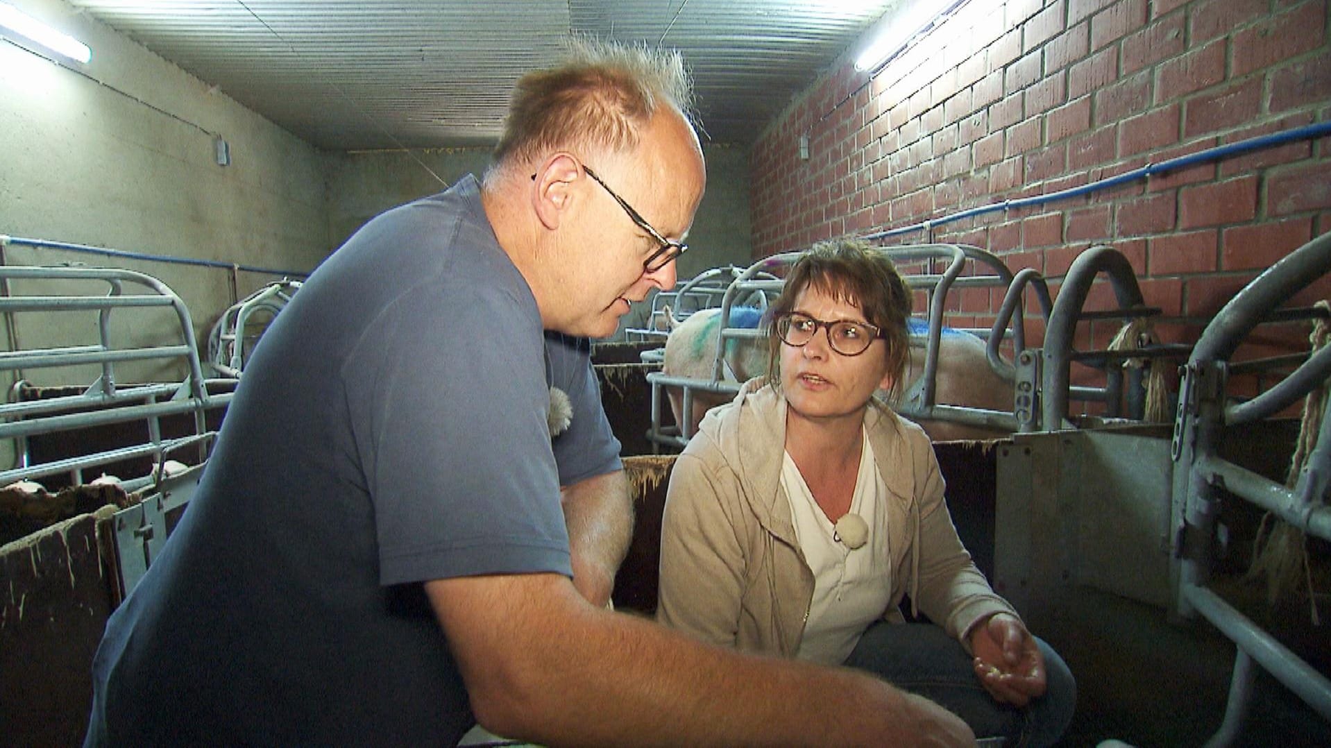 Claus und Heike: Im Schweinestall kam es zwischen den beiden zu einer Auseinandersetzung.