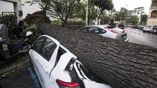 Ein umgestürzter Baum liegt auf dem Dach eines Autos in Rom.