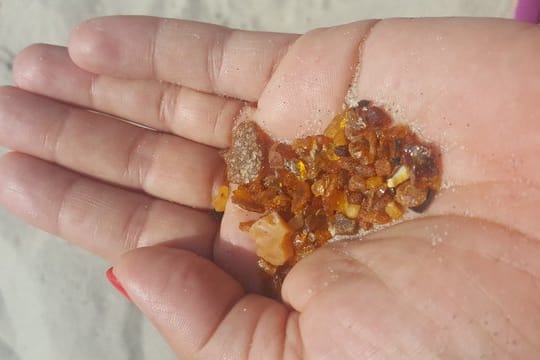 Violetta Celejewska hält Bernsteine, die sie am Ostsee-Strand gefunden hat, in der Hand.