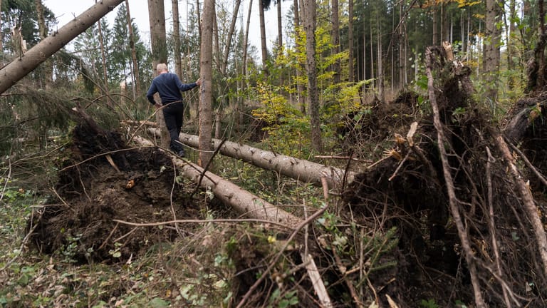 Zahlreiche umgeknickte Bäume haben den Bahnverkehr in Bayern massiv gestört.