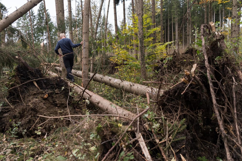 Zahlreiche umgeknickte Bäume haben den Bahnverkehr in Bayern massiv gestört.