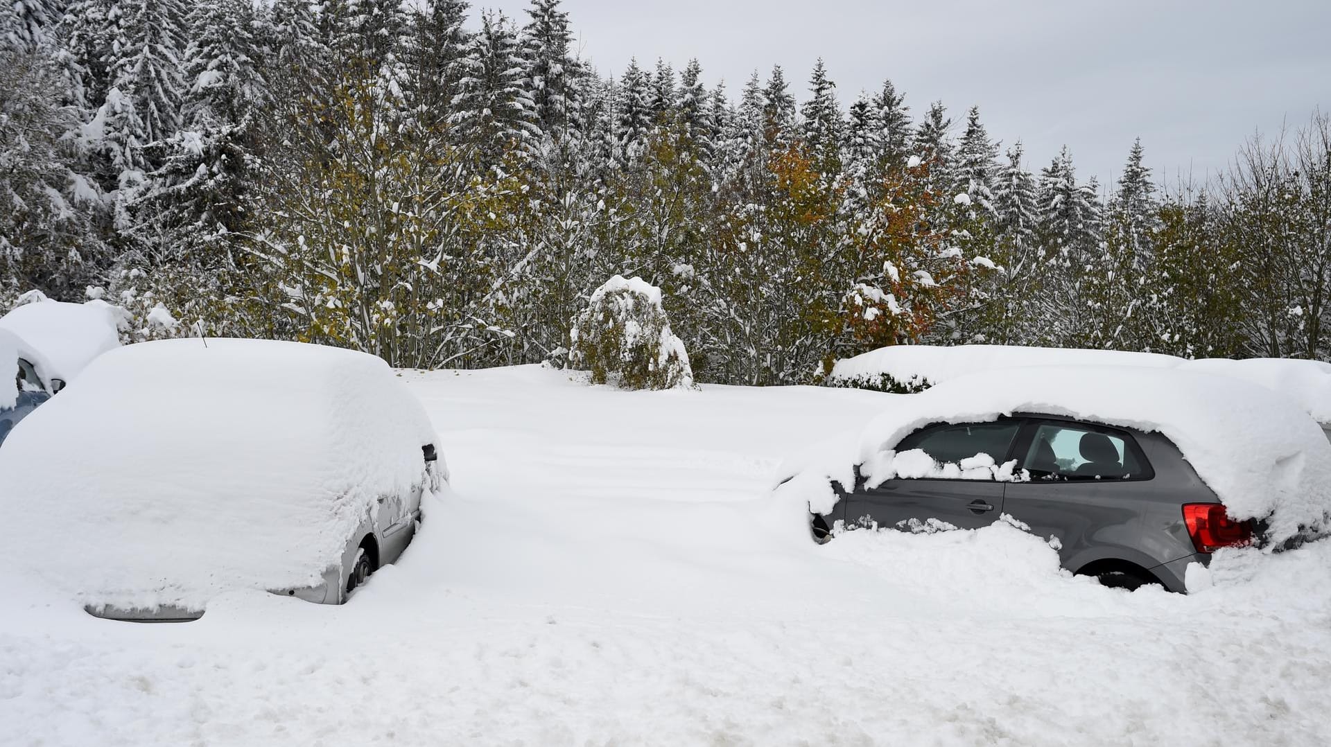 Zugeschneite Autos: Frankreichs Straßen sind vom Schnee blockiert. Zugeschneite Autos: Frankreichs Straßen sind vom Schnee blockiert.