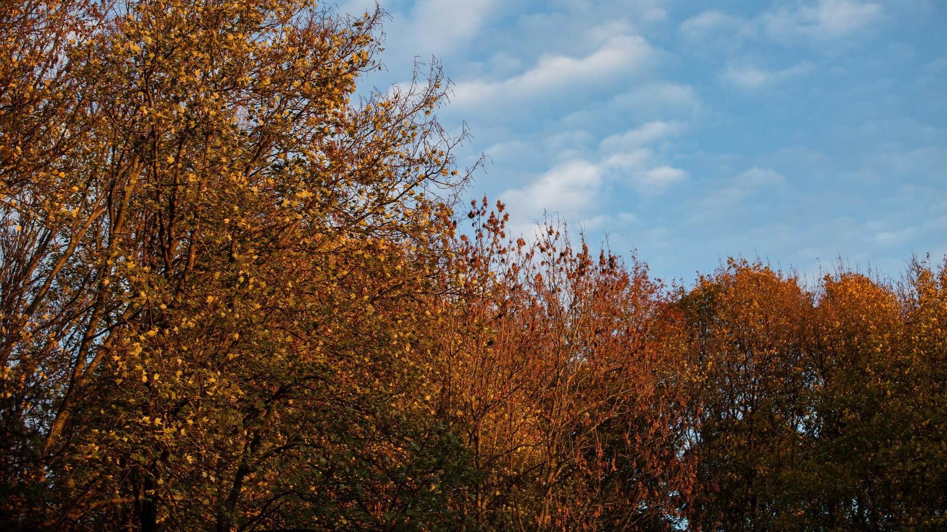 Herbstimpressionen aus München: In Europa wüten zahlreiche Unwetter, Deutschland bleibt es vergleichsweise ruhig. Herbstimpressionen aus München: In Europa wüten zahlreiche Unwetter, Deutschland bleibt es vergleichsweise ruhig.