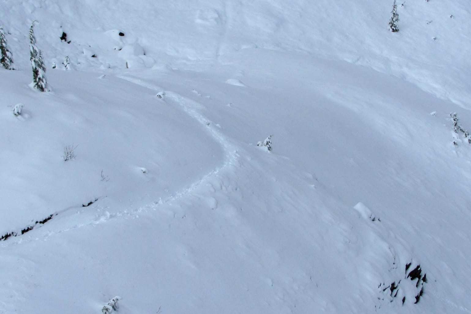 Die Fußspuren der deutschen Katharina Gröne im Schnee auf dem Pacific Crest Trail: Der Wintereinbruch hatte die deutsche Wanderin überrascht.