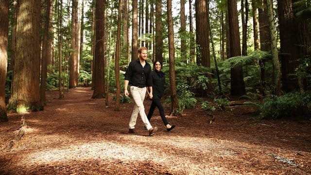 Meghan, Herzogin von Sussex, und Prinz Harry, Herzog von Sussex, spazieren auf dem Redwoods Tree Walk in Australien. Meghan, Herzogin von Sussex, und Prinz Harry, Herzog von Sussex, spazieren auf dem Redwoods Tree Walk in Australien.