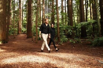 Meghan, Herzogin von Sussex, und Prinz Harry, Herzog von Sussex, spazieren auf dem Redwoods Tree Walk in Australien.