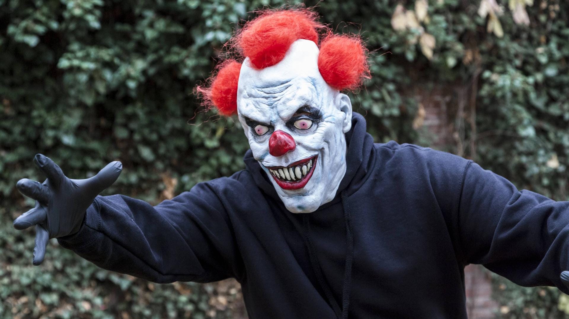 Unerkannt: Personen in Clownskostümen verursachten einen Unfall (Symbolbild) Unerkannt: Personen in Clownskostümen verursachten einen Unfall (Symbolbild)