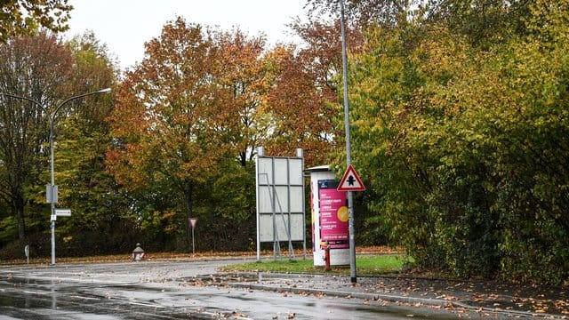 Bäume und Gebüsch im Industriegebiet Nord hinter dem Diskothekenareal, wo sich der Vorfall ereignet hat.