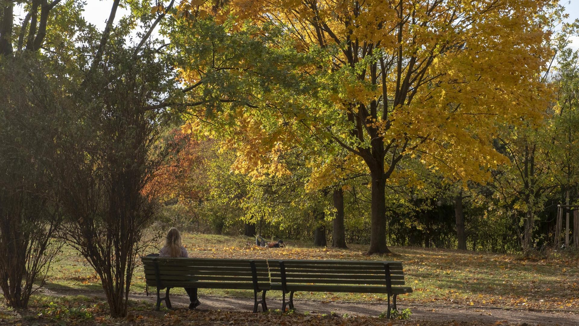 Berlin: Besucher genießen im Mauerpark das ungewöhnlich warme Herbstwetter. Berlin: Besucher genießen im Mauerpark das ungewöhnlich warme Herbstwetter.