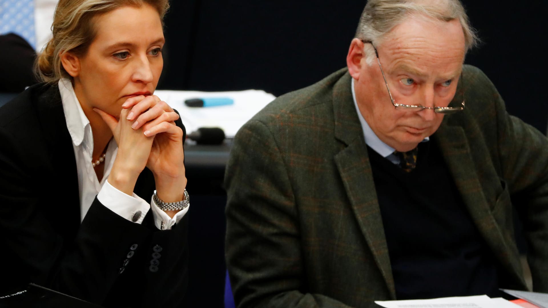 Alice Weidel und Alexander Gauland: Die Spitzen der Partei würden gern die Beobachtung durch den Verfassungsschutz verhindern – ein internes Gutachten dürfte das erschweren.