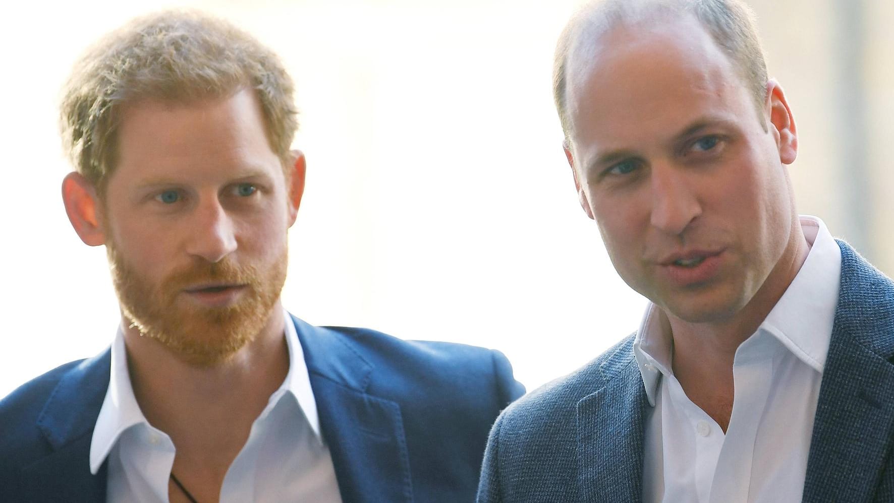 Prinz Harry und Prinz William: Die beiden haben in früheren Urlauben den Müll anderer Leute aufgesammelt.